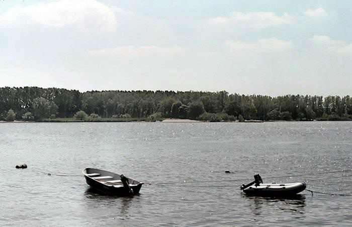 DordtseBiesbosch