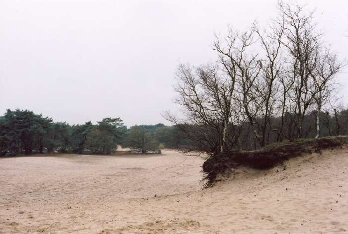 soesterduinen3