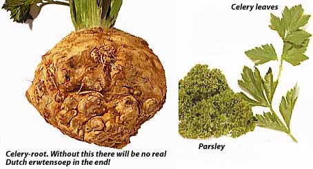 celery. parsley and celery leaves