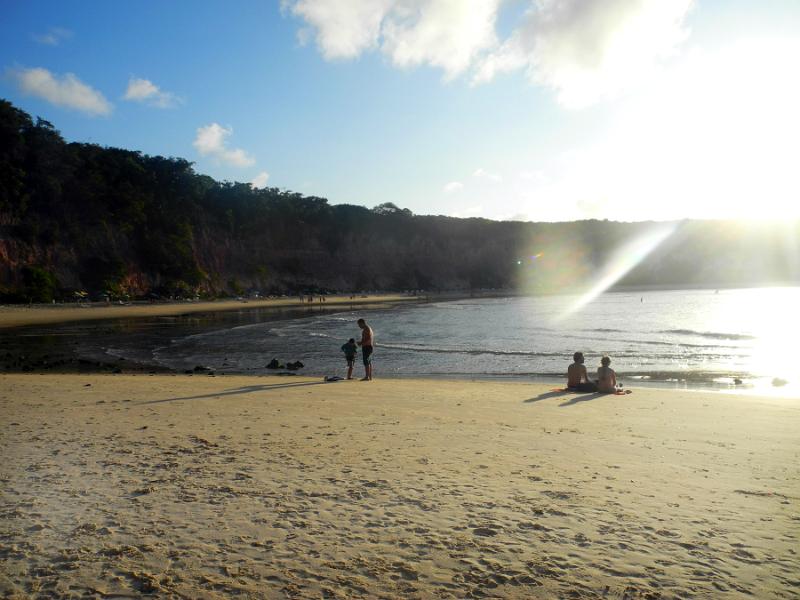 praiadosgolfinos1